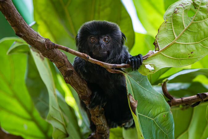 Haus Des Meeres Wien 09.07.2019 D810 1-160s@iso800 70-200mm f2.8@200mm f6.3