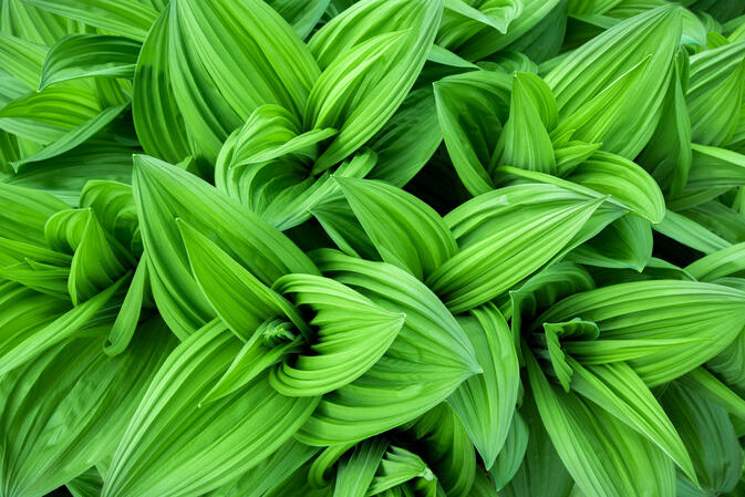 07.05.2018 D810 0.3s@iso64 15-30mm f2.8@28mm f16